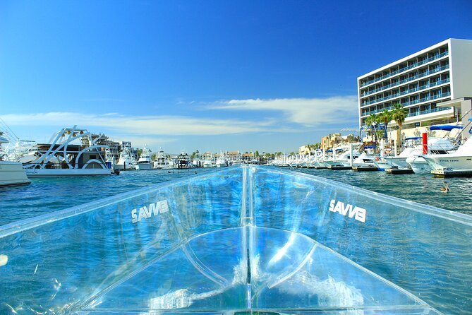 Clear Boat to Cabo Lands End, The Arch and more - Weather Considerations and Cancellation Policies