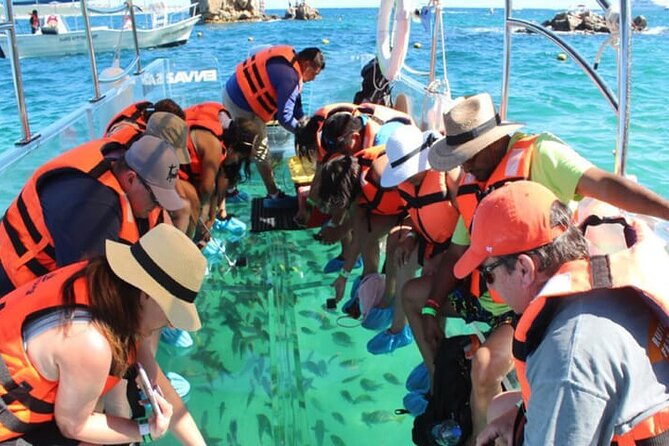 Clear Boat with City Tour - The Transparent Boat Cruise in Cabo San Lucas