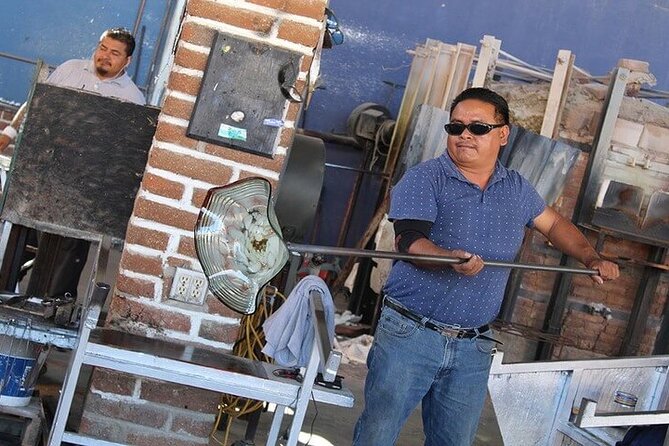 Clear Boat with City Tour - The Beach and Seal Colony Experience