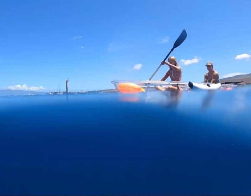 Clear Bottom Glassy Kayak Rental | Safe and Stable Kayaks - Maui Marine Exploration from a Stable, Clear View