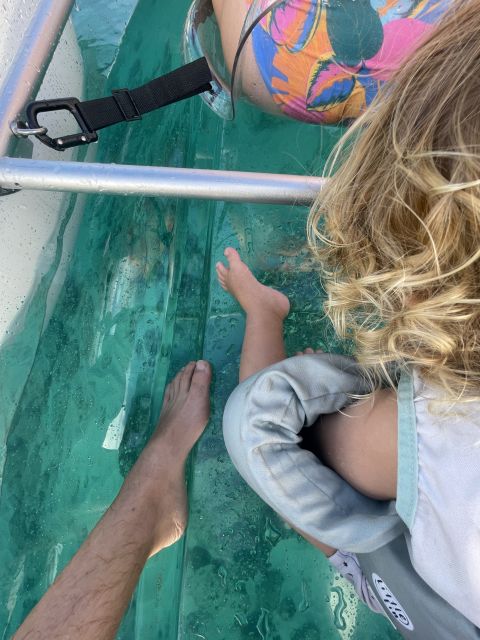 Clear Bottom Glassy Kayak Rental | Safe and Stable Kayaks - Who Should Consider This Experience?