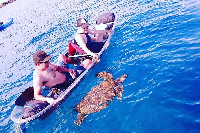 Clear Bottom Kayak and Snorkel Tour at Turtle Town, Makena - Accessibility, Safety, and Participant Requirements