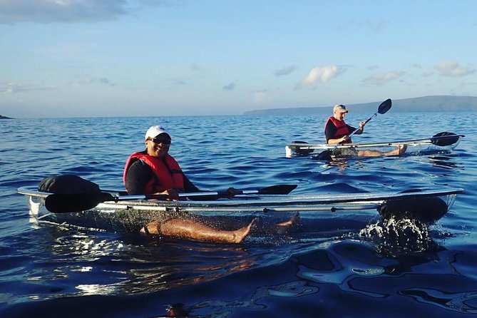 Clear Bottom Kayak and Snorkel Tour at Turtle Town, Makena - The Small-Group Advantage and Personalized Service