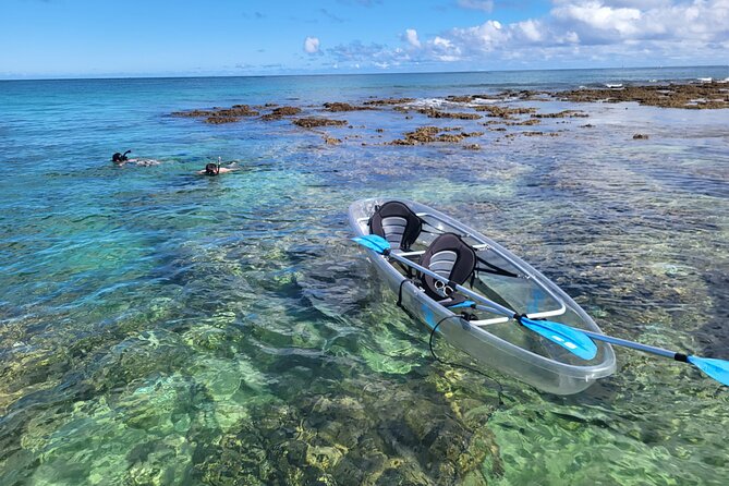 Clear Bottom Kayak - Guaranteed to see Turtles! - Discover Hawaii’s Marine Life in a Clear Bottom Kayak in Oahu