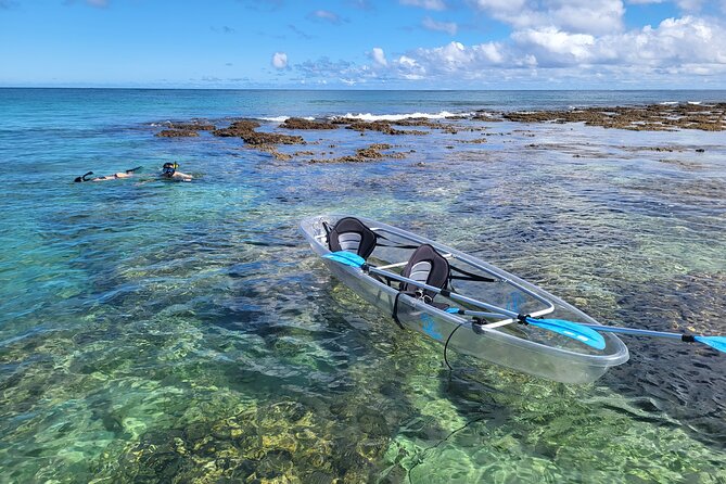 Clear Bottom Kayak - Guaranteed to see Turtles! - Key Points