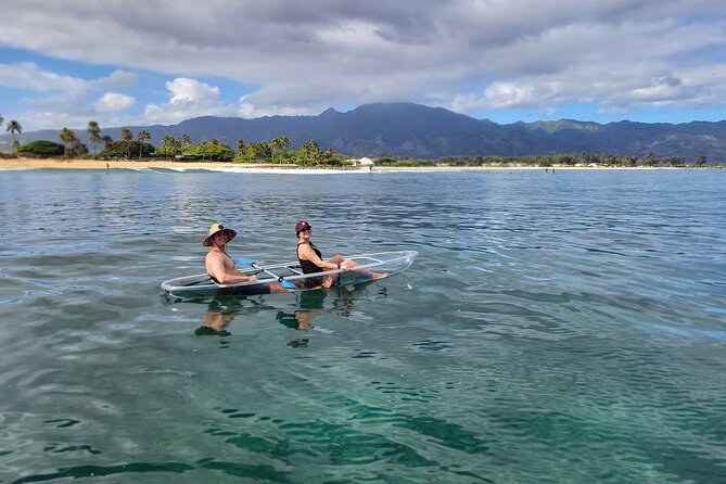 Clear Bottom Kayak - Guaranteed to see Turtles! - Close Encounters with Sea Turtles and Other Marine Creatures