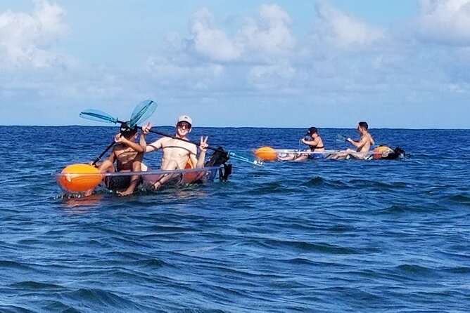 Clear Bottom Kayak - Guaranteed to see Turtles! - Scenic Views and Additional Wildlife Encounters
