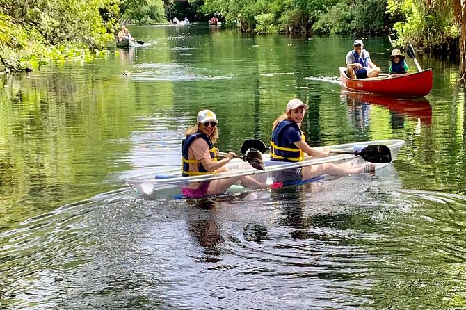 Clear Canoeing and Wildlife Sightseeing at Silver Springs - Key Points