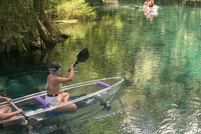 Clear Canoeing and Wildlife Sightseeing at Silver Springs - The Unique Appeal of Clear Canoes