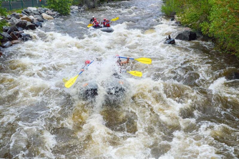 Clear Creek Intermediate 2h 30m Rafting Trip - Denver, CO - Physical Requirements and Active Paddling