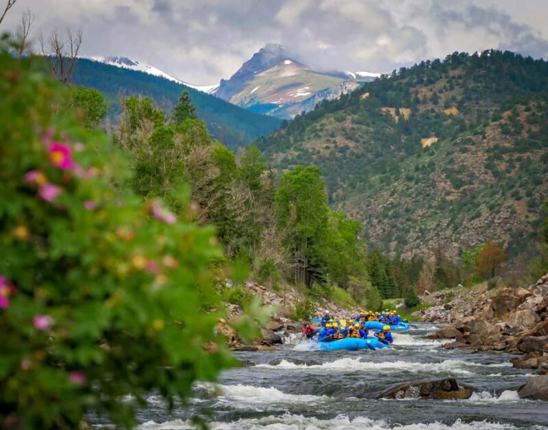 Clear Creek: Intermediate Rafting Trip - Mastering Proper Paddling Techniques