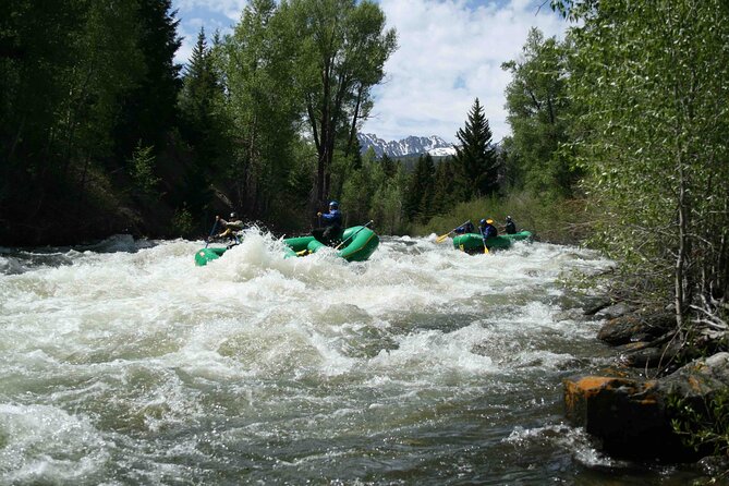 Clear Creek Whitewater Rafting Trip: Intermediate Level - Logistics: Meeting Points and Transportation