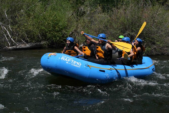 Clear Creek Whitewater Rafting Trip: Intermediate Level - The Overall Experience and Customer Feedback