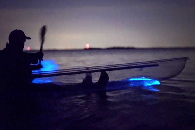 Clear Kayak Bioluminescence Tour - Cocoa Beach - What to Expect During the Kayak Experience