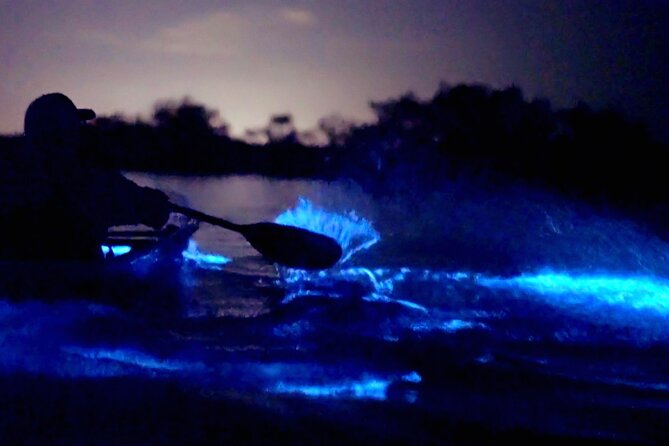 Clear Kayak Bioluminescence Tour - Cocoa Beach - Wildlife Encounters Along the Waterway