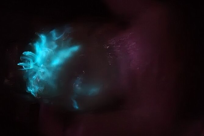 Clear Kayak Bioluminescence Tour - Cocoa Beach - The Role of Guides and Small Group Dynamics