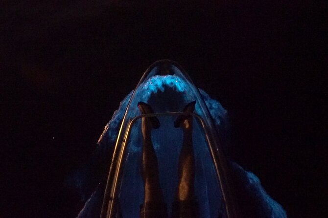 Clear Kayak Bioluminescence Tour - Meeting Point and Logistics at Beacon 42 Boat Ramp