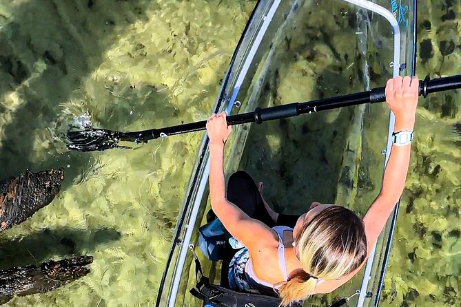 Clear Kayak Ecotour Destin Ft. Walton Beach - Santa Rosa Sounds Serene Waters and Peaceful Paddling