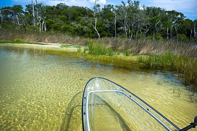 Clear Kayak Ecotour Destin Ft. Walton Beach - Best Times to Experience the Tour