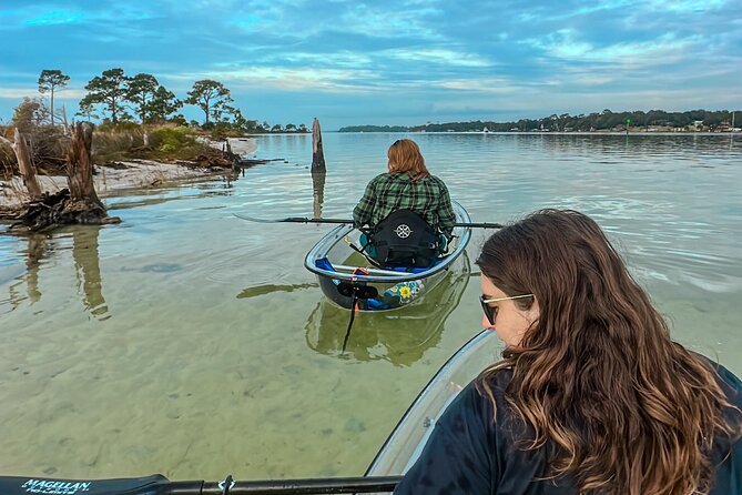 Clear Kayak Ecotour Destin Ft. Walton Beach - Wildlife and Marine Life Encounters