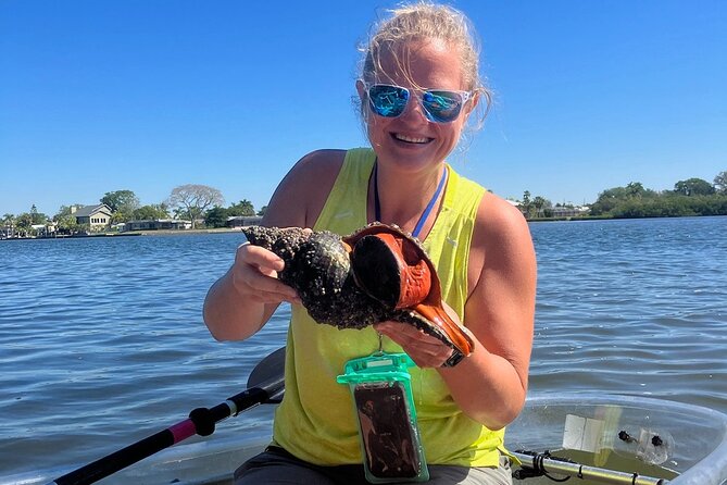 Clear Kayak Glass Bottom Day Tour - Anna Maria Island - Discover the Clear Kayak Glass Bottom Day Tour on Anna Maria Island