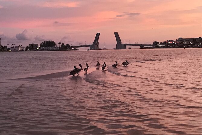 Clear Kayak Glow Tour - Starting Point: The BoatDega in Treasure Island