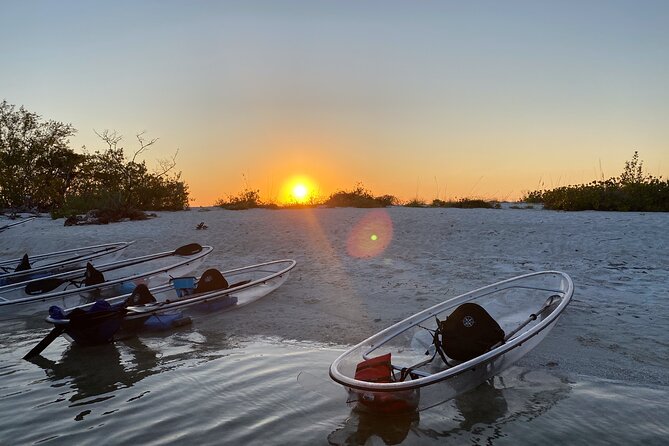 Clear Kayak Guided Eco Tour in North Naples - Key Points