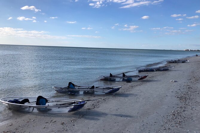 Clear Kayak Guided Eco Tour in North Naples - Beach and Shell Searching Along the Gulf Coast