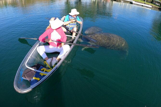 Clear Kayak Manatee Ecotour of Crystal River - Crystal Rivers All-Clear Kayak Manatee Ecotour: Final Thoughts