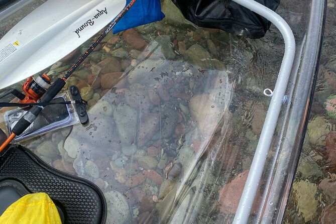 Clear Kayak Rentals for Flathead Lake - Flathead Lake’s Hidden Gem: Transparent Kayaks at Wayfarers State Park