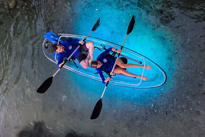 Clear Kayak Sunset Glow Tour - Wildlife Encounters During the Night Tour