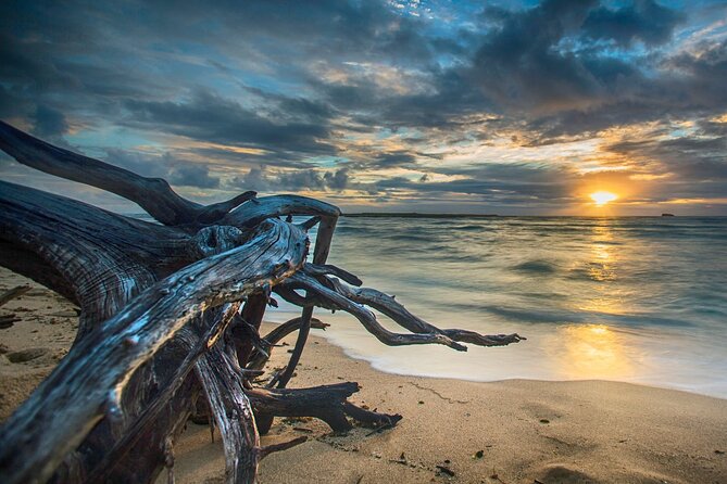 CLEAR Kayak Sunset & Light Tour - Bonita Springs / Ft Myers Beach - Practical Tips for a Successful Tour
