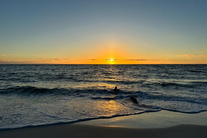 CLEAR Kayak Sunset & Light Tour - Bonita Springs / Ft Myers Beach - Meeting Point and Group Size