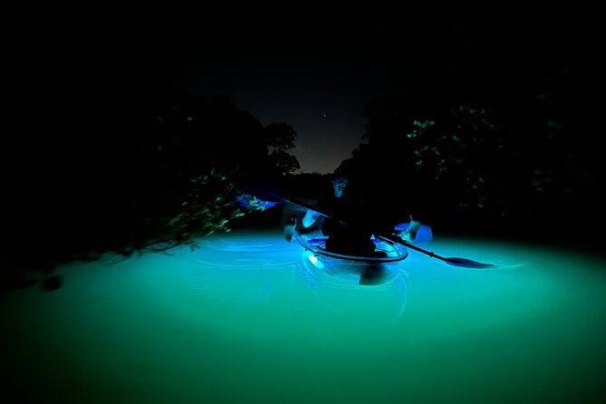 CLEAR Kayak Sunset & Light Tour - Bonita Springs / Ft Myers Beach - Flexibility and Cancellation Policies