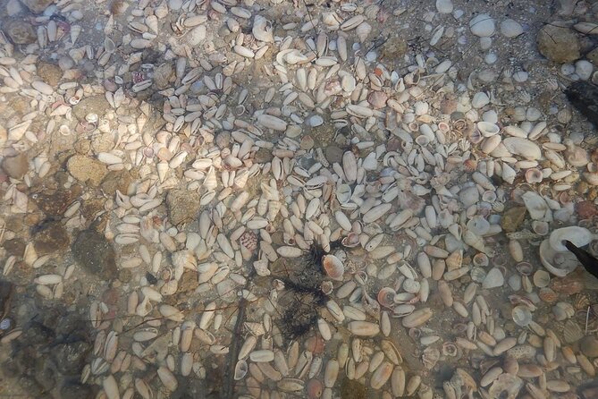 Clear Kayak Sunset Tour - Cocoa Beach - The Guides and Their Role in Creating a Memorable Tour