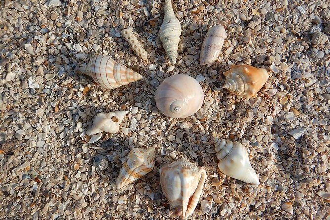 Clear Kayak Sunset Tour - Cocoa Beach - Accessibility and Physical Requirements
