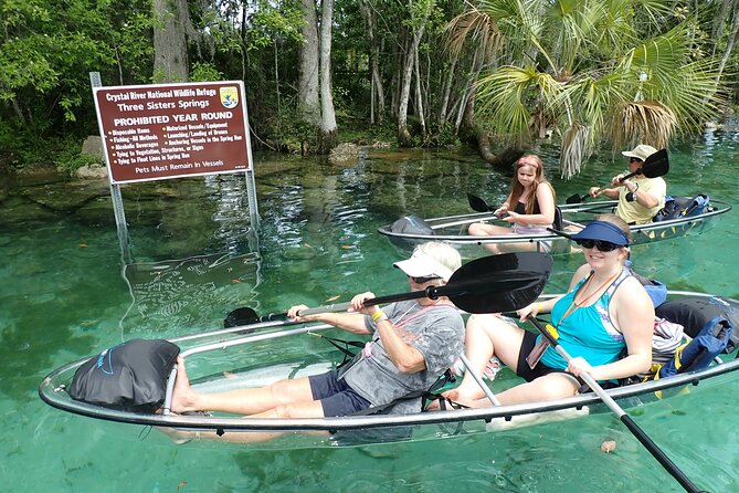Clear Kayak Three Sisters Springs & Manatee Tour Of Crystal River - What Wildlife Might You Encounter During the Tour?