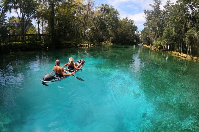 Clear Kayak Three Sisters Springs Sunset and Glow Tour - Wildlife Sightings Common in the Tour