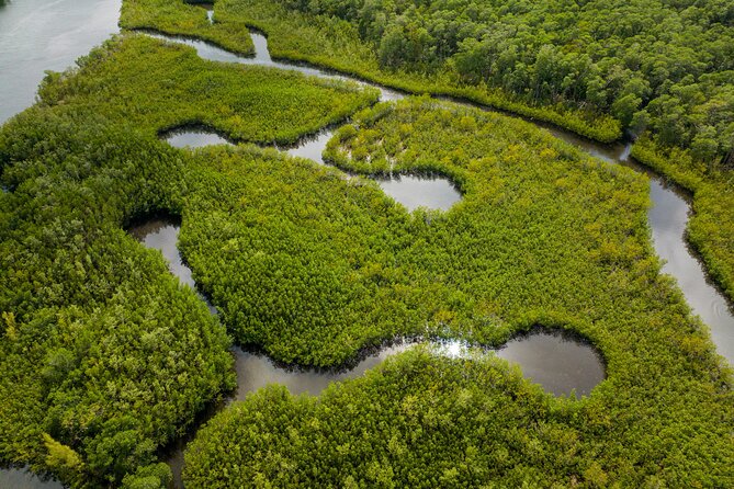 Clear Kayak Tour in North Miami Beach - Mangrove Tunnels - Starting Point at East Greynolds Park in North Miami Beach
