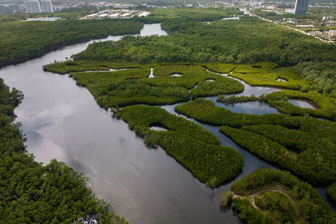 Clear Kayak Tour in North Miami Beach - Mangrove Tunnels - Wildlife Sightings and Notable Encounters