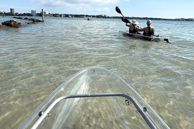 Clear Kayak Tour of Clearwater Beach - The Experience of Paddleboarding with a Marine Wildlife Expert