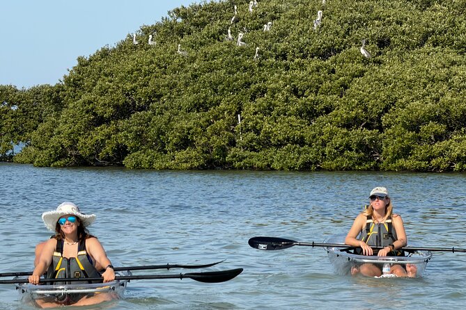 Clear Kayak Tour of Clearwater Beach - Flexibility with Booking and Weather Considerations
