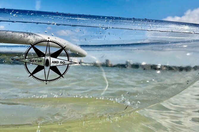 Clear Kayak Tour of Clearwater Beach - Who Will Enjoy the Clear Kayak Tour of Clearwater Beach?