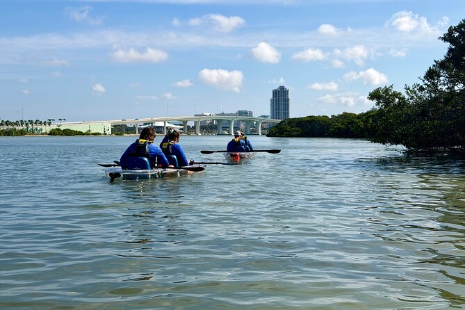 Clear Kayak Tour of Clearwater Beach - Clearwater’s Coastal Beauty from a Different Perspective