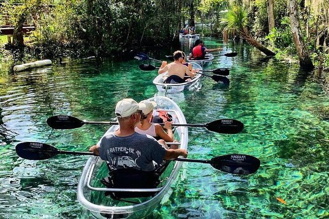 Clear Kayak Tour of Crystal River - Experience the Best of Crystal Rivers Wildlife in Clear Kayaks