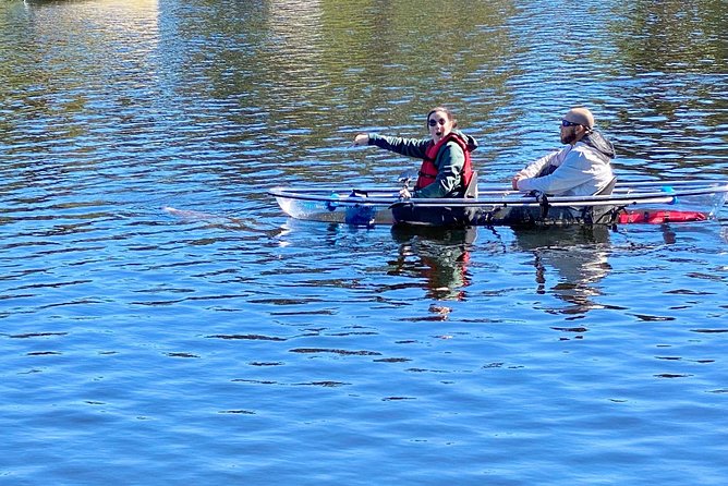 Clear Kayak Tour of Tarpon Springs | Manatee Season - The Experience with Our Guides: Knowledge and Personality