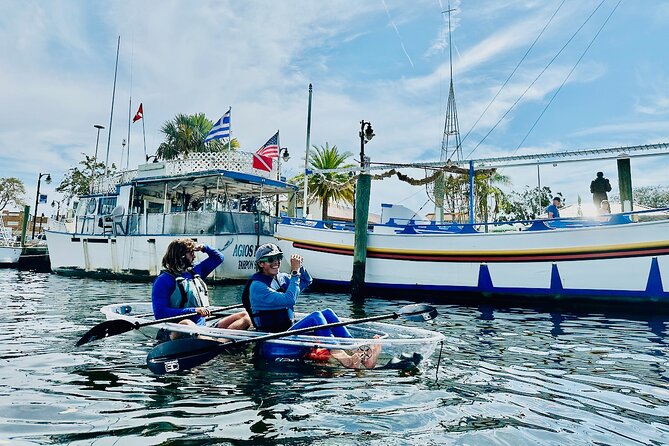 Clear Kayak Tour of Tarpon Springs Sponge Docks & Mangroves - What to Expect During the Clear Kayak Adventure in Tarpon Springs