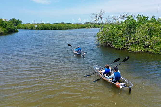 Clear Kayak Tour of Tarpon Springs Sponge Docks & Mangroves - Cancellation Policy and Weather Considerations