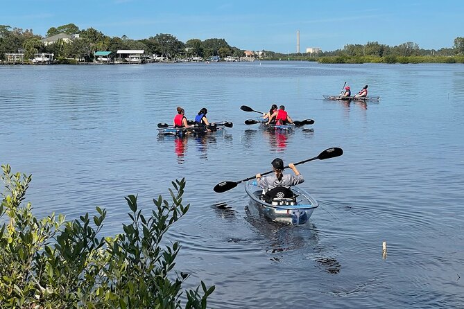 Clear Kayak Tour of Tarpon Springs Sponge Docks & Mangroves - Why This Tour Offers Good Value