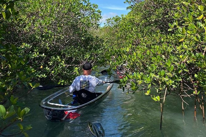 Clear Kayak Tours in Fort Pierce - Exploring the Mangrove Tunnels and Waterways